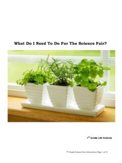 What Do I Need To Do For The Science Fair? - Essay Writer