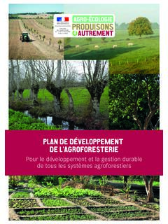 PLAN DE D&#201;VELOPPEMENT DE L'AGROFORESTERIE