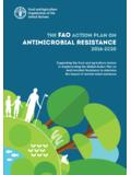The FAO Action Plan on Antimicrobial Resistance …