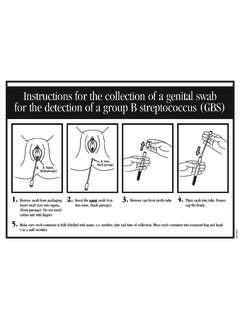 Instructions for the collectuion of a genital swab for the ...