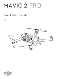 Quick Start Guide - dl.djicdn.com