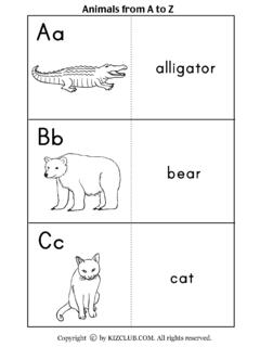 Animals from A to Z Aa - KIZCLUB