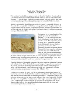 Wheat and Tares - John Dubler