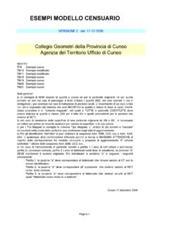 Modello censuario 111206 - COllEGIO GEOMETRI CUNEO