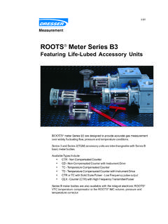 ROOTS Meter Series B3