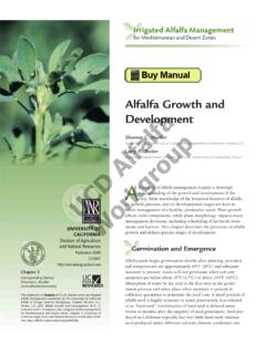 Alfalfa Growth and Alfalfa