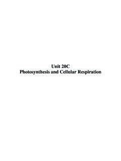 Unit 20C Photosynthesis and Cellular Respiration - …