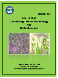 Cell Biology, Molecular Biology And Biotechnology