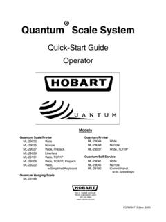 Quantum Scale System - Hobart