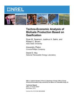 Techno-Economic Analysis of Biofuels Production Based on ...