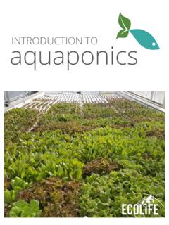 Introduction to Aquaponics Manual - ECOLIFE Conservation
