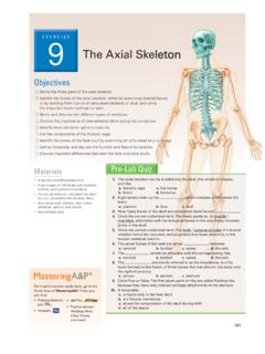 EXERCISE 9 The Axial Skeleton - Pearson