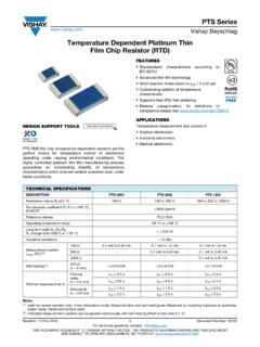 Temperature Dependent Platinum Thin Film Chip Resistor (RTD)
