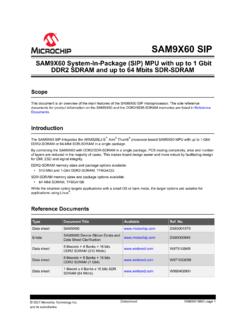 SAM9X60 SIP Data Sheet