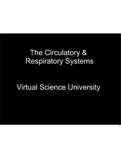 The Circulatory and Respiratory Systems - Dr. Carrasco's ...
