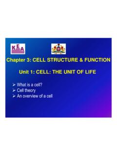 Chapter 3: CELL STRUCTURE &amp; FUNCTION Unit 1: CELL: THE ...