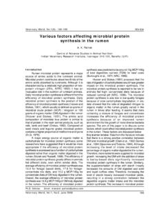 Various factors affecting microbial protein synthesis in ...