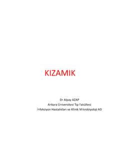 KIZAMIK - klimik.org.tr