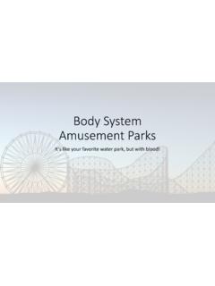 Body System Amusement Park