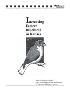 C720 Increasing Eastern Bluebirds in Kansas