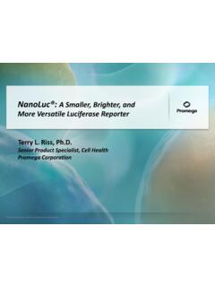 NanoLuc&#174;: A Smaller, Brighter, and More Versatile ...