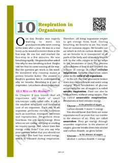 10Organisms Respiration in