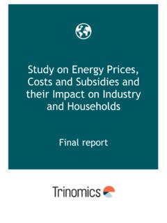 Energy Prices and Costs - Final report - Enerdata