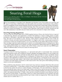 Snaring Feral Hogs - Texas Wildlife Association