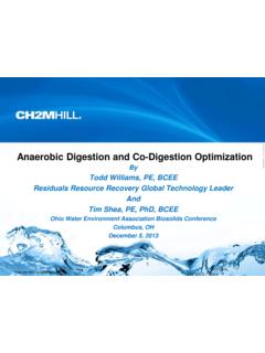 Anaerobic Digestion and Co-Digestion Optimization