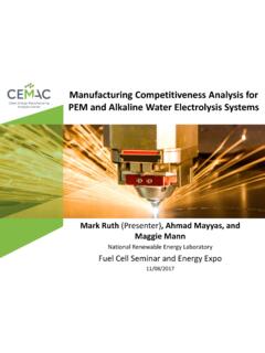 Manufacturing Competitiveness Analysis for PEM and ...