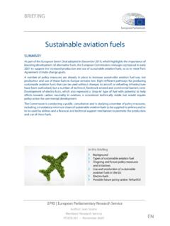 Sustainable Aviation Fuels - European Parliament