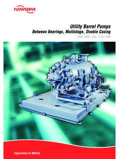 Utility Barrel Pumps - Flowserve