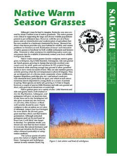 Native Warm Season Grasses How-to’s