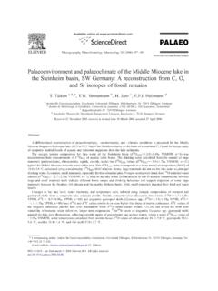 Palaeoenvironment and palaeoclimate of the …