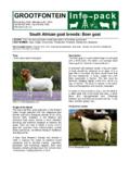 South African Goat breeds - Boer Goat - Grootfontein
