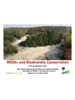 REDD+ and Biodiversity Conservation - CBD