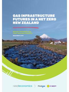 GAS INFRASTRUCTURE FUTURES IN A NET ZERO NEW …