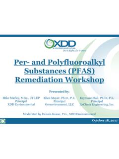 Per- and Polyfluoroalkyl Substances (PFAS) Remediation ...