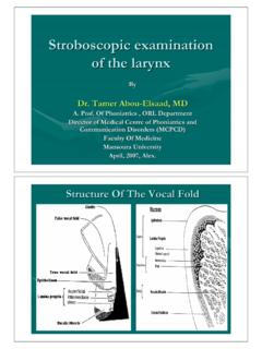 Stroboscopic examination of the larynx - Alexorl
