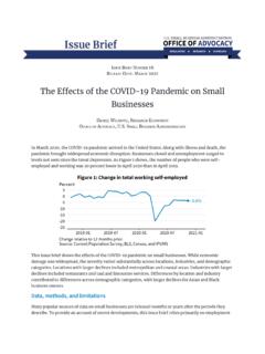 The Effects of the COVID-19 Pandemic on Small Businesses