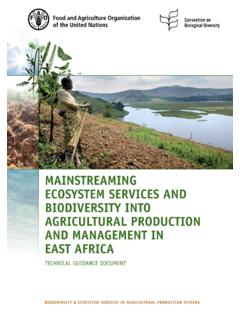 Mainstreaming Ecosystem Services and Biodiversity into ...