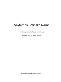 V&#228;xternas Latinska Namn - BSIS