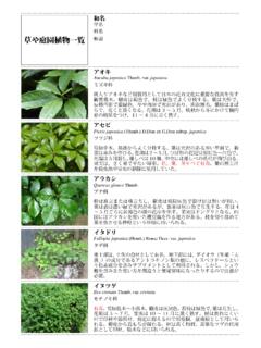 草や庭園植物一覧 - chiikirenkei.org