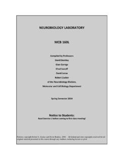 NEUROBIOLOGY LABORATORY MCB 160L