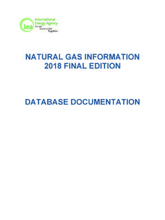 Natural Gas Documentation 2021 - International Energy Agency