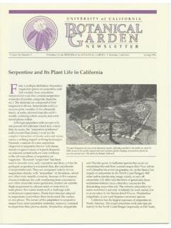 Serpentine and Its Plant Life in California