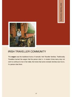 IRISH TRAVELLER COMMUNITY