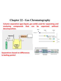Chapter 22 - Gas Chromatography - Michigan State University