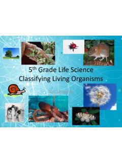 Classifying Living Organisms - PC\|MAC