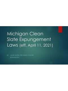 Michigan Clean Slate Expungement Laws (eff. April 11, 2021)